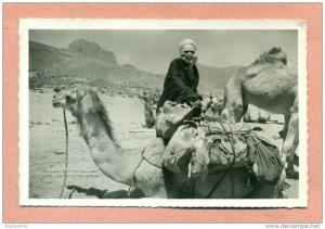 CPSM - ALGERIE - MISSION  TCF  AU HOGGAR  - NOBLE TARGUI ET SON MEHARI  -