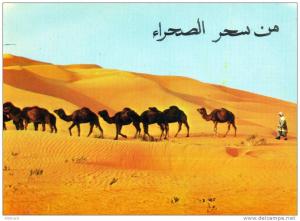 ALGERIE. LE HOGGAR .  LA CARAVANE.