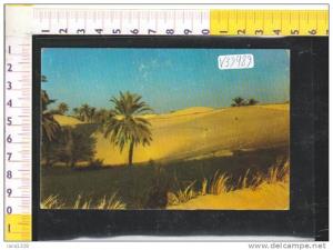 V39489 ALGERIA HOGGAR OASIS