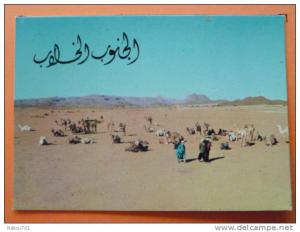 e1-algerie-le hoggar---belle animation-