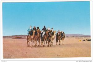Prix fixe - Hoggar - Un groupe de touaregs - chameaux # 10-10/7