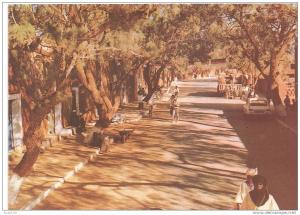 carte postale , algérie, tamanraset, le hoggar