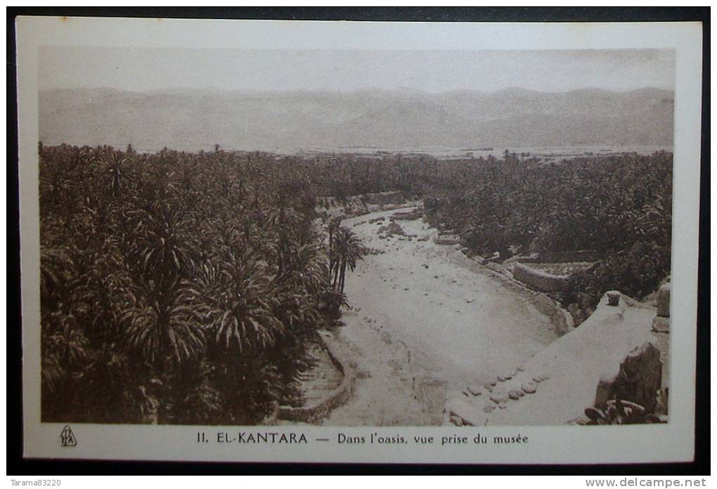 CPA ALGERIE EL KANTARA DANS L'OASIS, VUE PRISE DU MUSEE