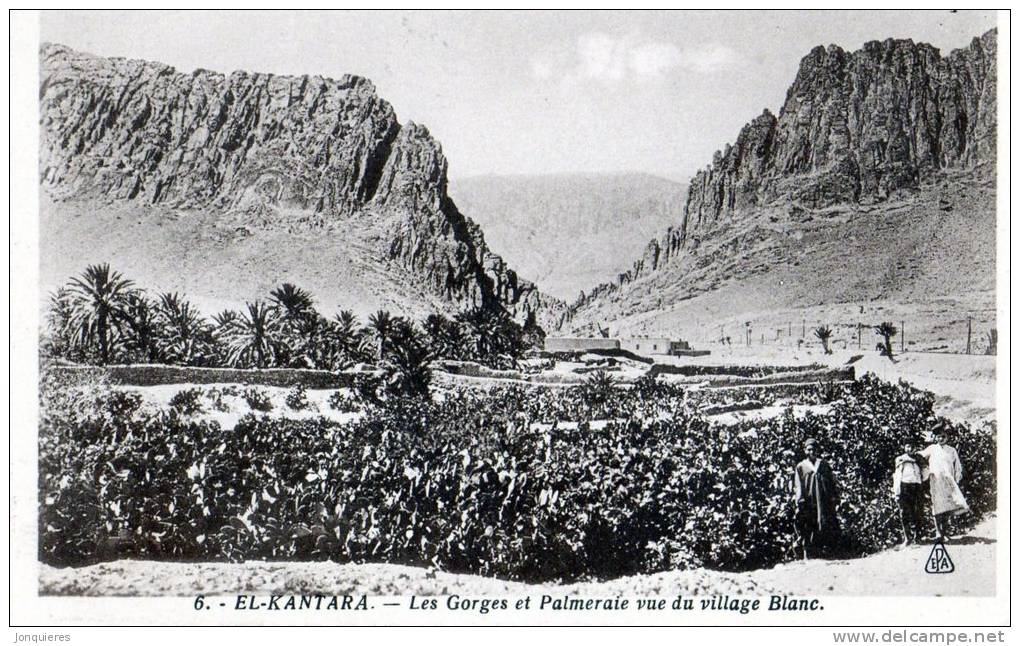 EL-KANTARA  Les Gorges et Palmeraie vue du village Blanc.