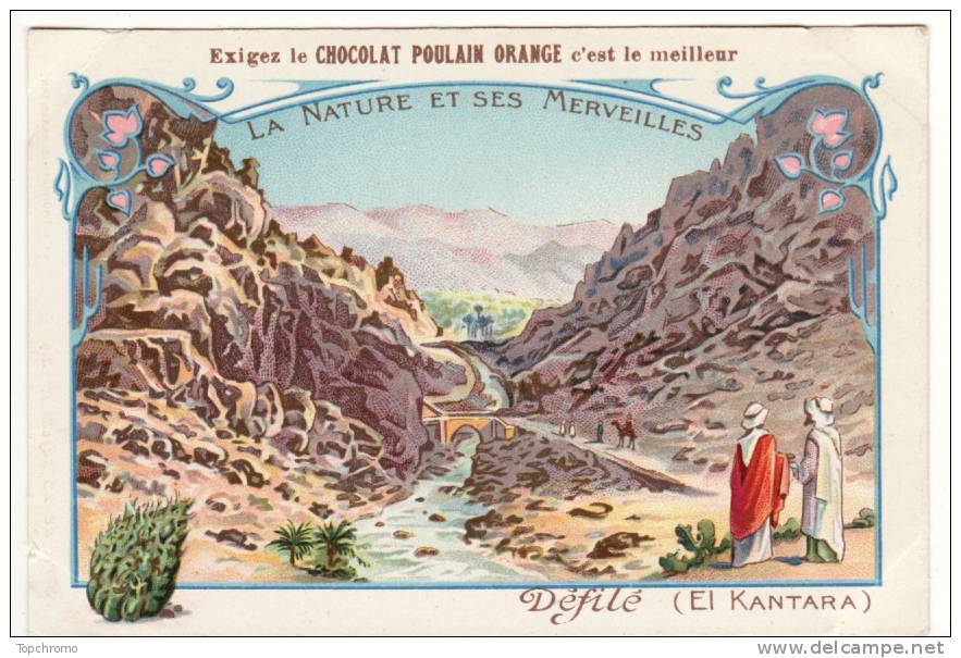 CHROMO didactique Chocolat Poulain La nature et ses merveilles Défilé El Kantara Algérie Sahara Fleurs