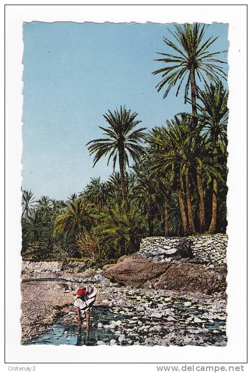 Scènes & Types d´Afrique du Nord N°8048 El Kantara au bord de l´Oued en 1961