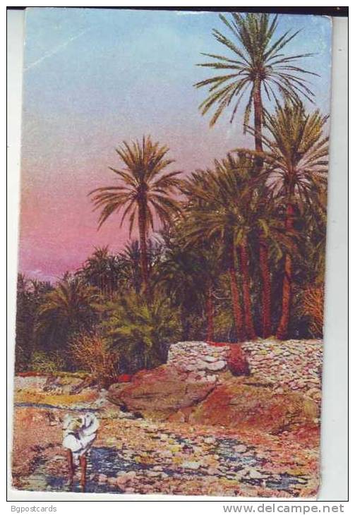 El Kantara - ed. Sirecky , Oran