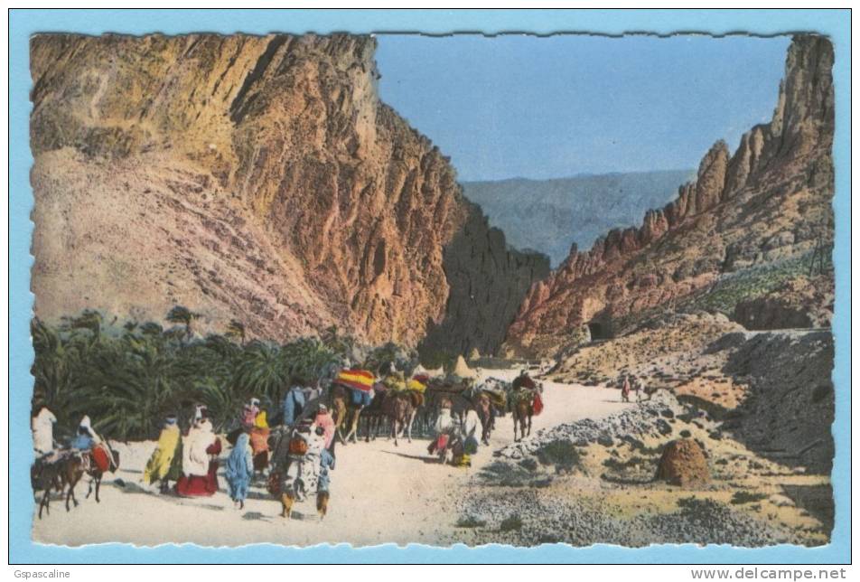 SCENES & TYPES - 8.155 - Edts A.Sirecky - Les Gorges d´El Kantara (voir recto-verso)