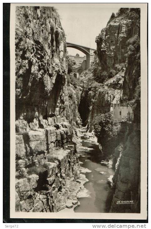 cpsm  CONSTANTINE  25.  Le Rhummel et le pont El Kantara.