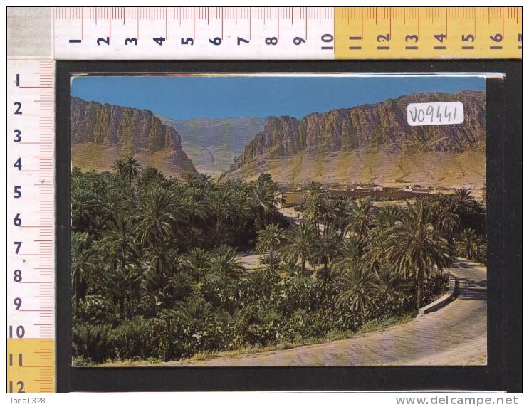 V09441 ALGERIA LES GORGES D'EL KANTARA