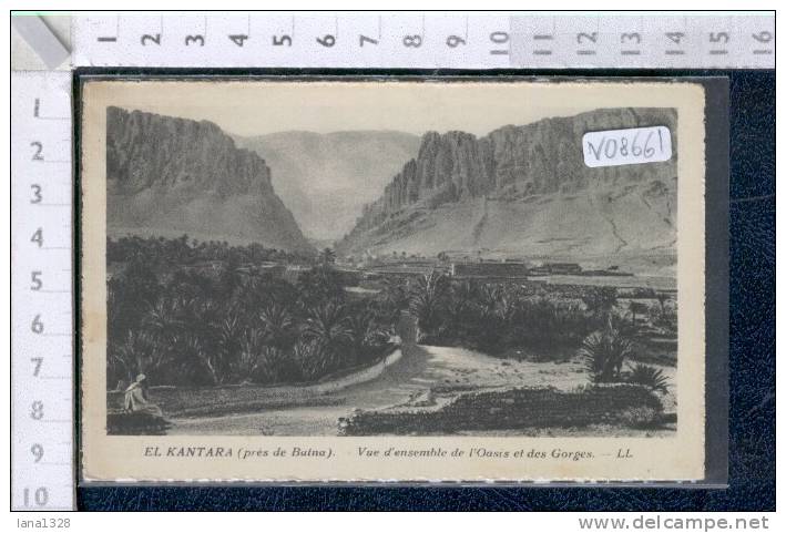 V08661 ALGERIA EL KANTARA VUE D'ENSEMBLE DE L'OASIS ET DES GORGES