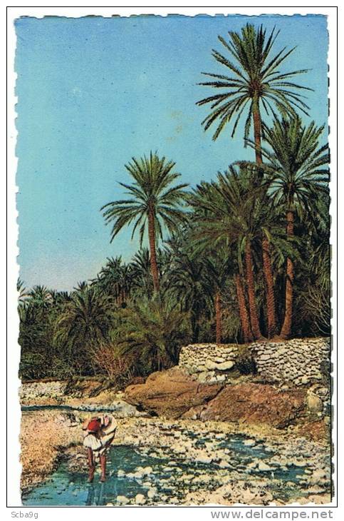 SECNES ET TYPES   EL KANTARA DANS LA RIVIERE