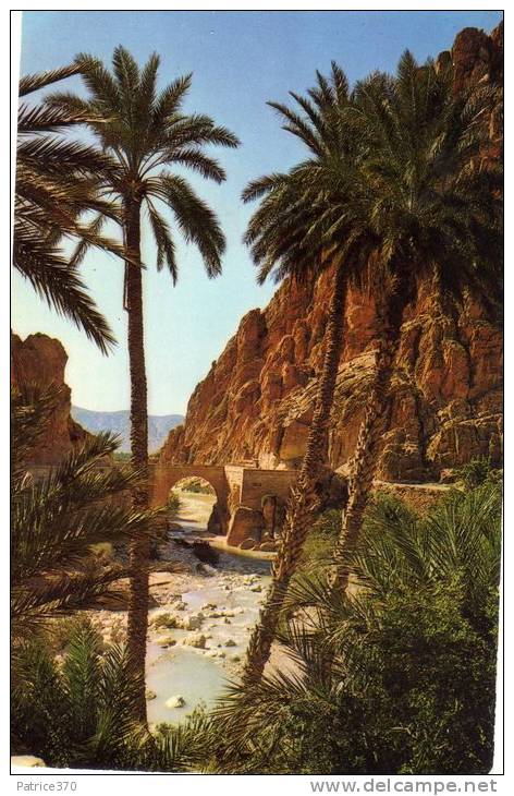 ALGERIE EL KANTARA - Pont Palmiers