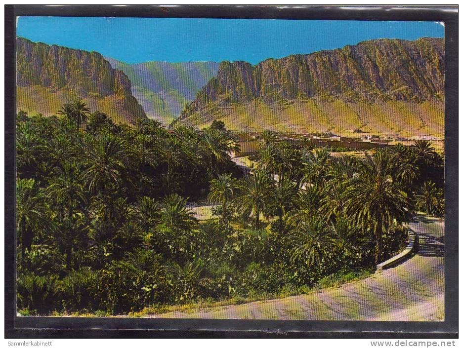 Les Gorges d'El Kantara