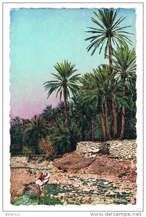 Algèrie - El Kantara - Dans la rivière