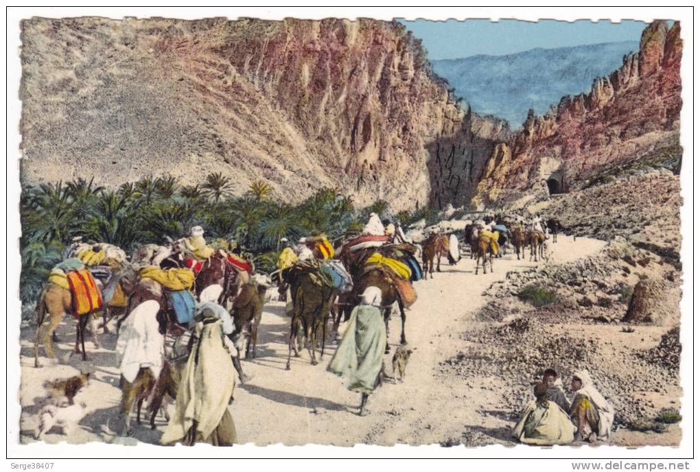 Prix fixe - Belle animation - Dans les Gorges d´El Kantara # 10-10/22