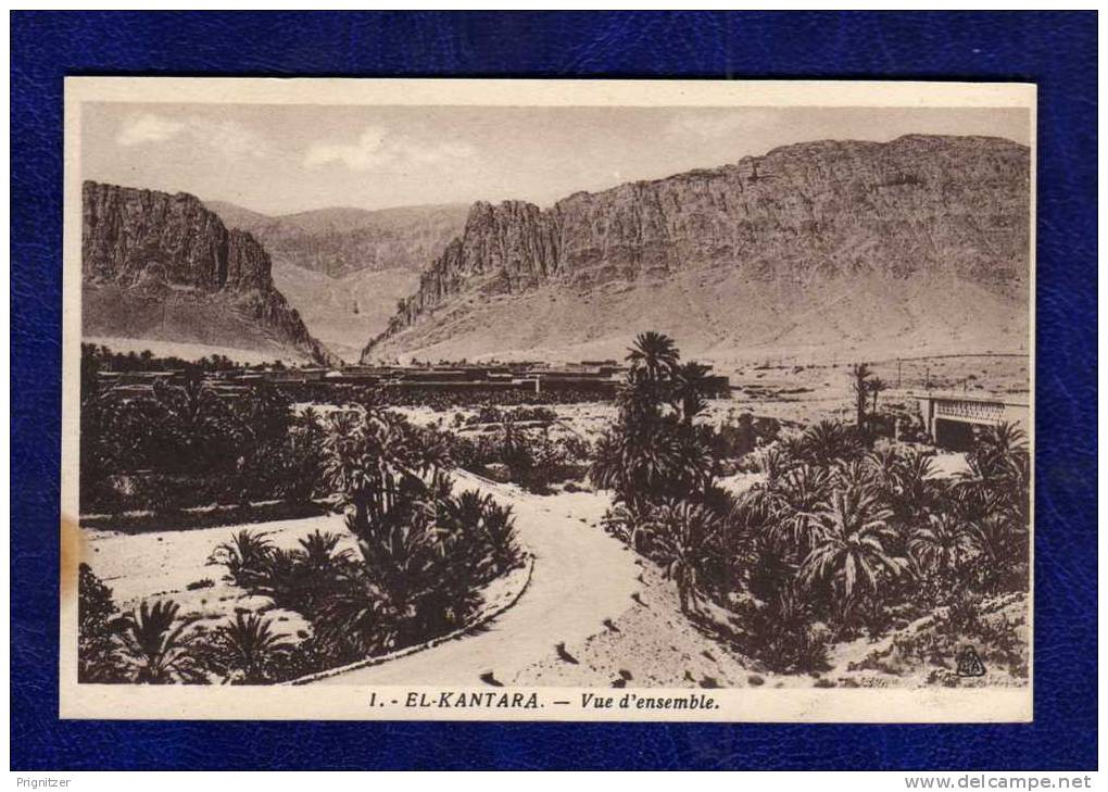 ALGERIE / ALGERIEN   El Kantara  Vue d'ensemble
