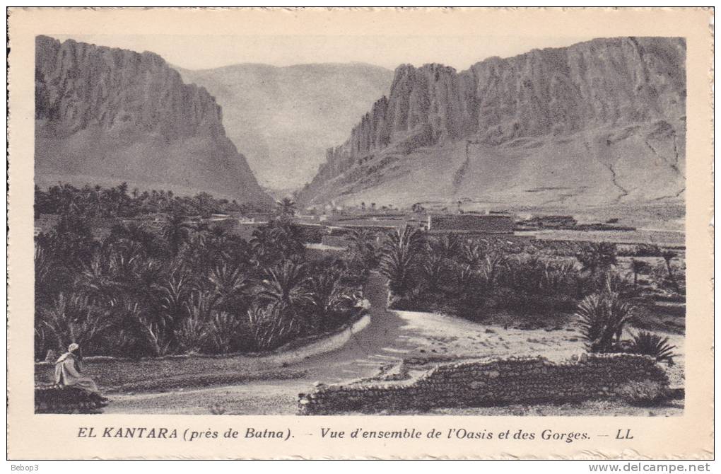Algérie El Kantara - Près de Batna, vue d´ensemble de l´oasis et des gorges