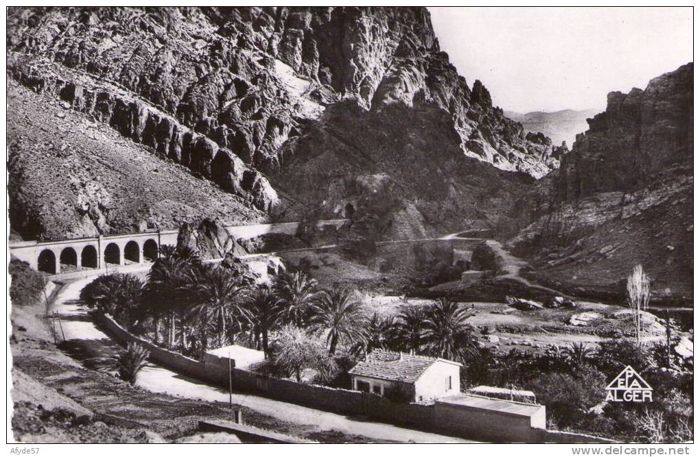 CPSM EL-KANTARA (algérie)  Côté Nord et route de Biskra (N°9) en 1955.     (7380)