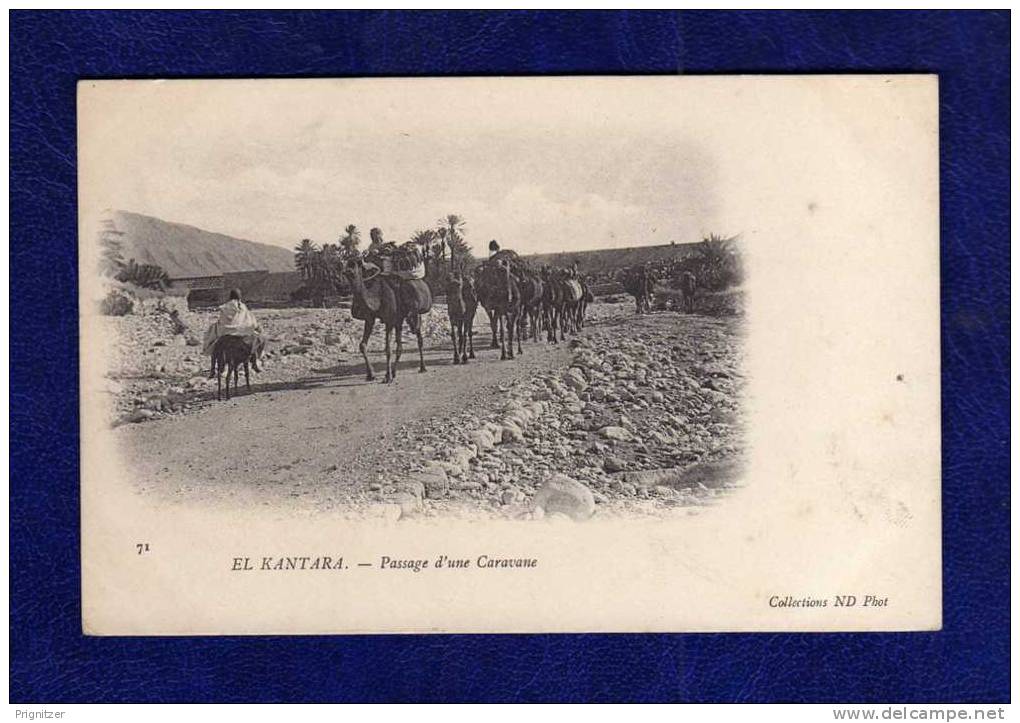Algerien / Algérie - El Kantara   Passage d'une Caravane
