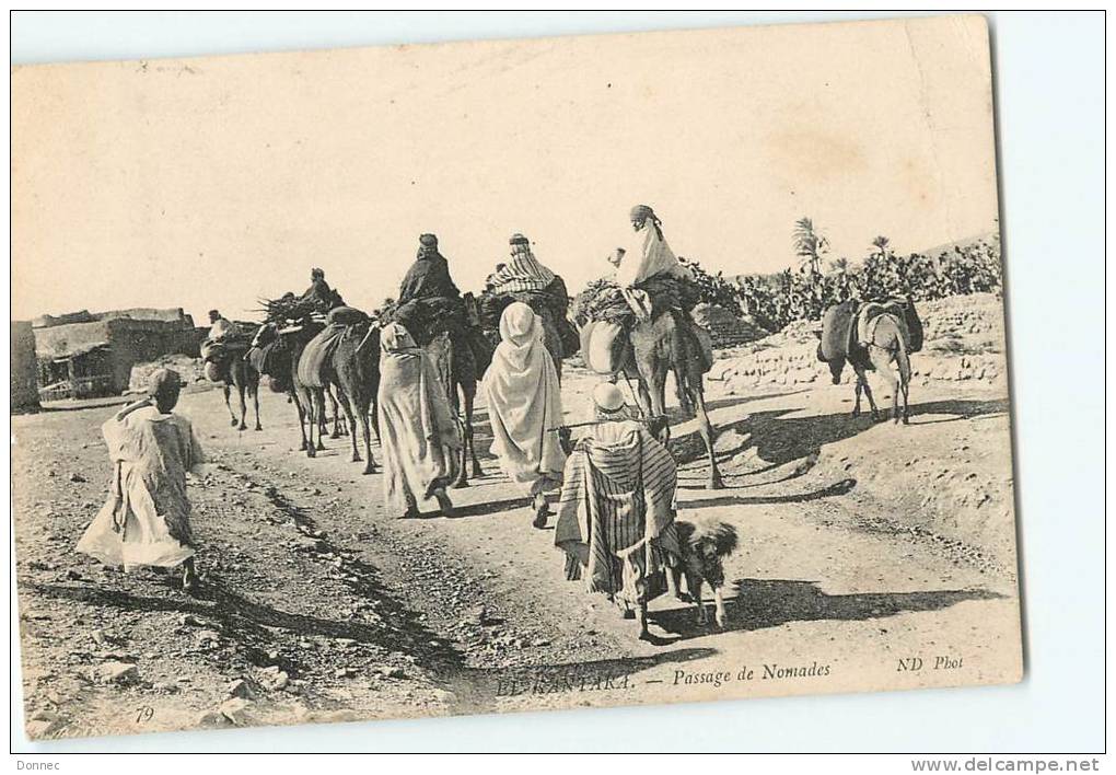 El Kantara, nomades ND  79
