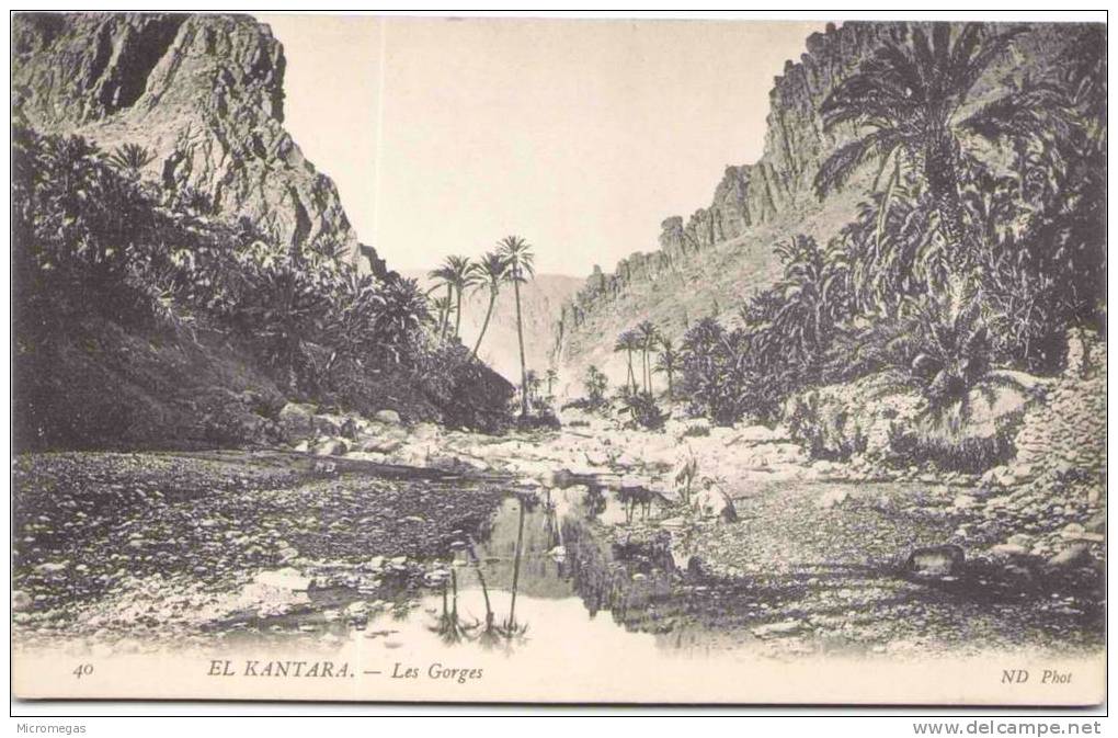 EL KANTARA - Les Gorges