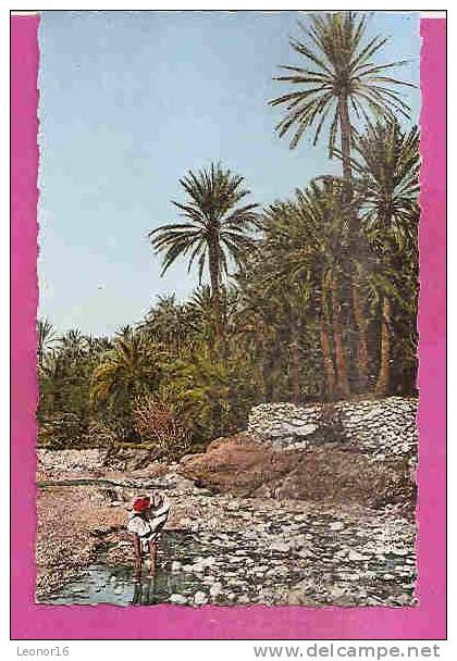 EL KANTARA   -   * AU BORD DE L' OUED *   -   Editeur  JOMONE d´ Alger  -  N° 8.048
