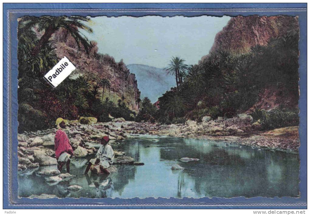 Carte Postale Algérie Gorges d'El Kantara  sur les bords de l'Oued très beau plan