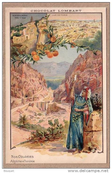 NOS COLONIES - ALGERIE ET TUNISIE - CHOCOLAT LOMBART - SIDI BOU MEDIN - TUNIS - GORGES D´EL KANTARA