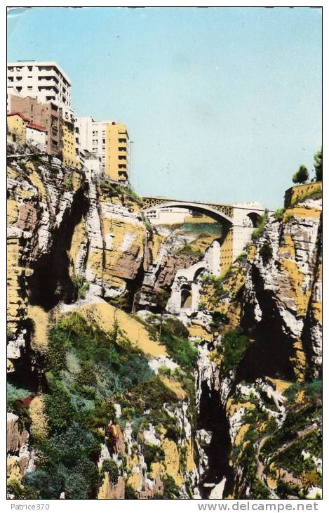 ALGERIE CONSTANTINE - Les Gorges du Rhumel et le pont d'El Kantara Vue des immeubles d'habitation
