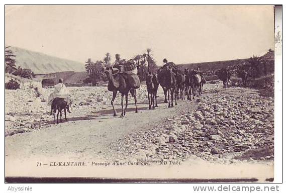 ALGERIE - EL KANTARA - passage d´une caravane - nr 71 ND - d4 660