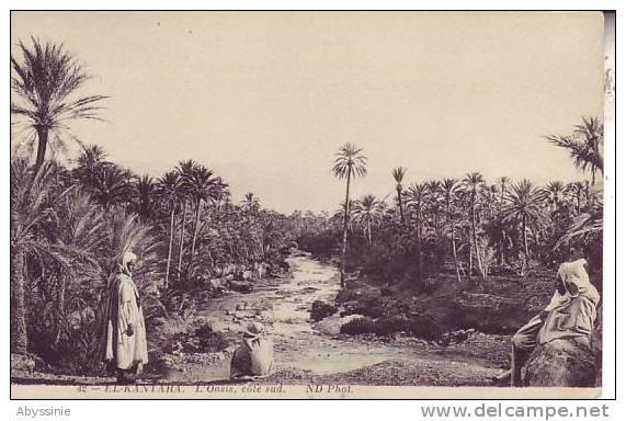 ALGERIE - EL KANTARA - l´oasis, côté sud - nr 42 ND - d4 668