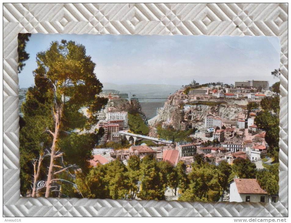 Belle CPSM colorisée  