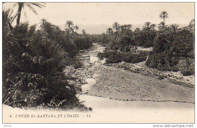 ALGERIE  EL-KANTARA  L'Oued El-Kantara et l'Oasis  ...... ( Ref FA973 )