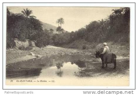 EL-KANTARA, (Al Qantarah El Sharqiyya), Egypt, 00-10s man on donkey