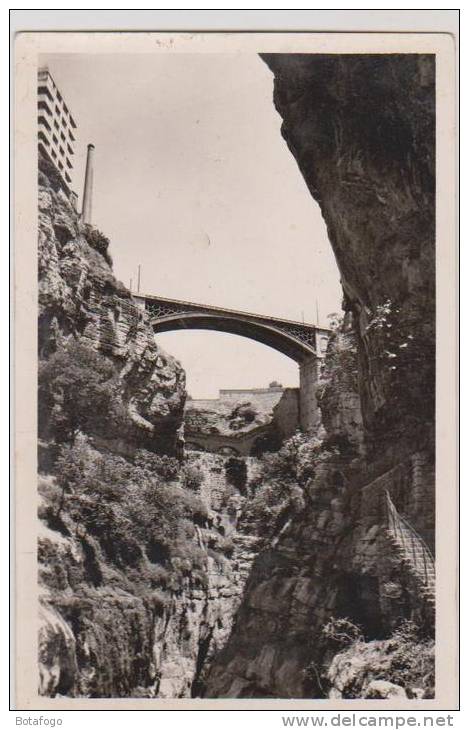 CPM  CONSTANTINE LE PONT EL KANTARA