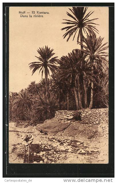 CPA Constantine, El Kantara, Dans la riviÚre
