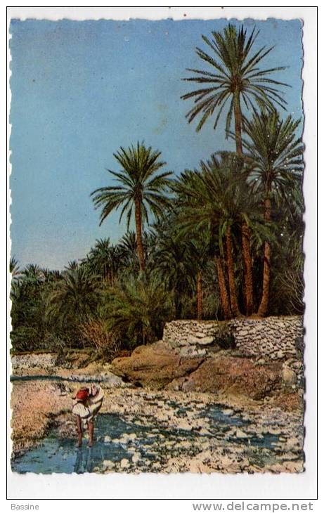 B334/CPSM FORMAT CPA  EL KANTARA DANS LA RIVIERE