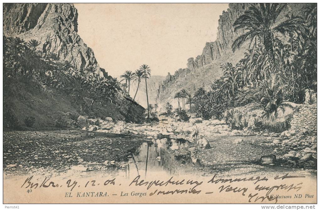 ALGERIE - EL KANTARA - Les Gorges