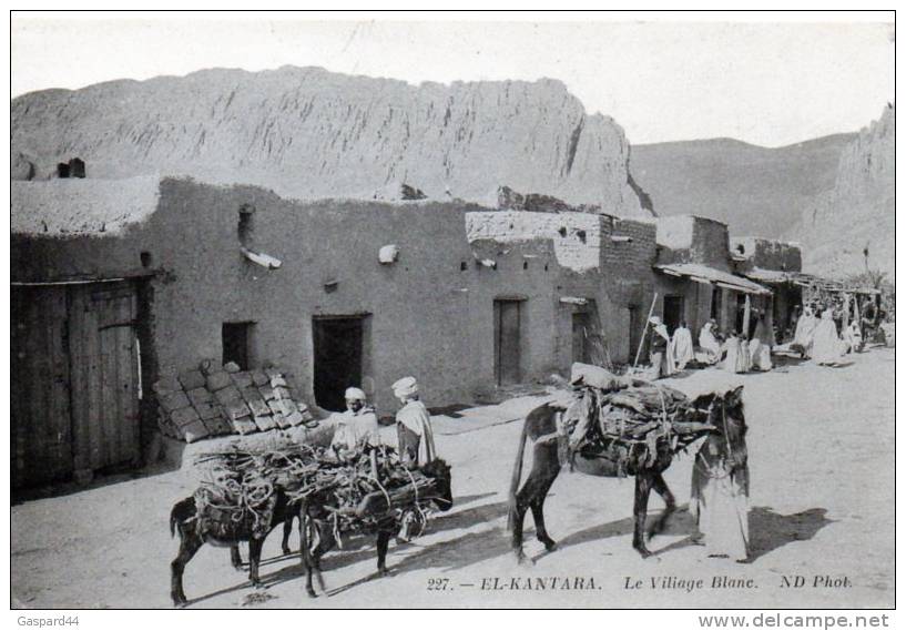 ALGERIE -EL-KANTARA - LE VILLAGE BLANC