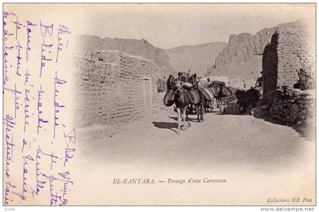 EL KANTARA   -  Passage d' une Caravane