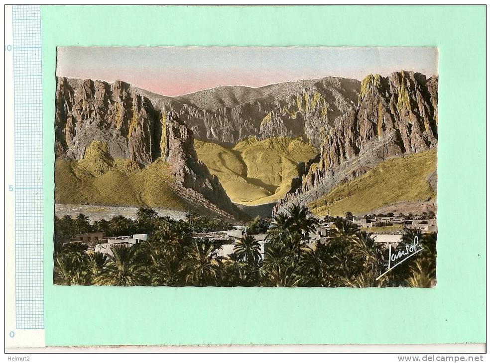 MEA48 ALGERIE Paysages du Sud - Oasis dans les Gorges d' El Kantara (voir descrip 2scan) Ed. JANSOL N°41 format 8,8x13,8