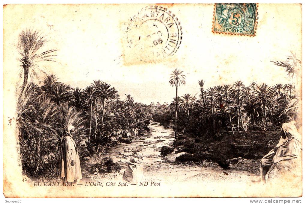 CPA ALGERIE   EL-KANTARA - L'Oasis, Côté Sud            1905