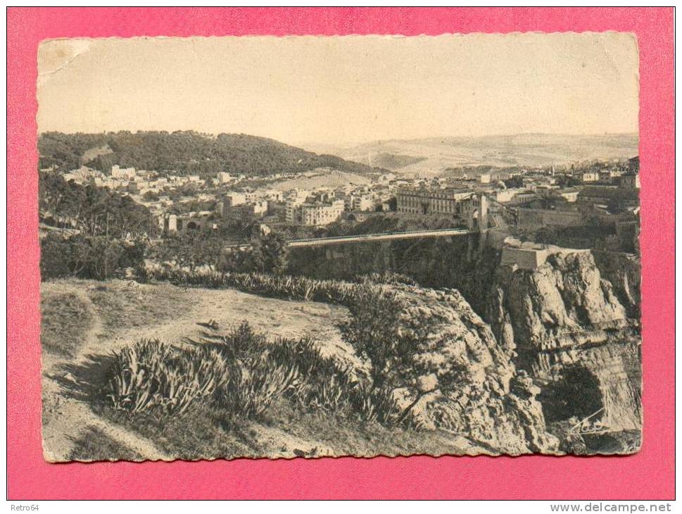 CPSM  ALGERIE  -  CONSTANTINE  -  291  Vue vers El Kantara et Sidi M´Cid  ( années 50/60 )