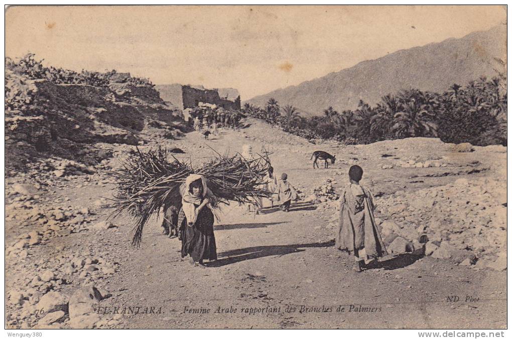 EL KANTARA -Femme Arabe Rapportant des Branches de Palmiers