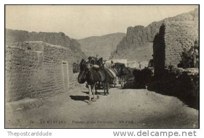 El Kantara Tunisia c1910 Postcard