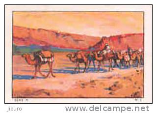 El Kantara - Une Caravane  //  ( Algérie - Dromadaires - Dromadaire Dromadery ) // st  IM 34-KSB/4