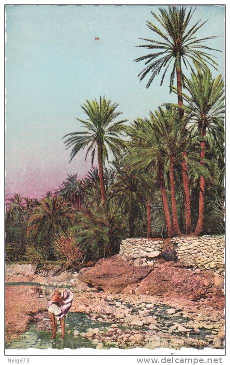 carte des années 50 d'Algérie - scène et types d'Afrique du Nord - El Kantara - dans la rivière