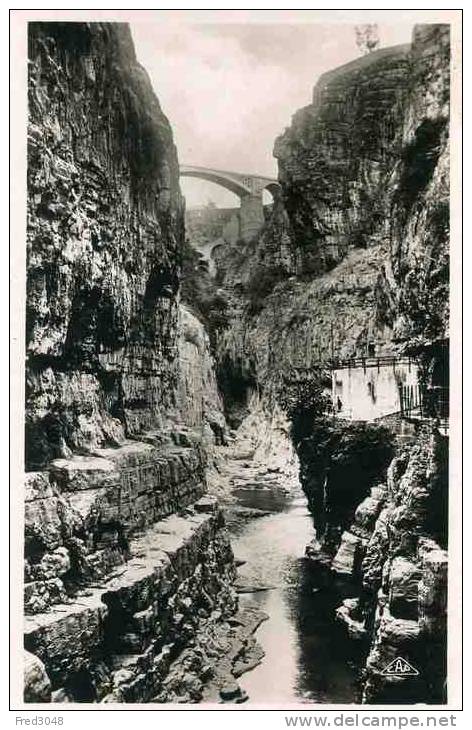 ALGERIE - CONSTANTINE  Le rhumel et le pont El Kantara