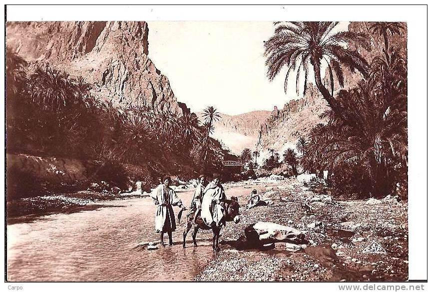 EL-KANTARA. - L´Oued et les Gorges.